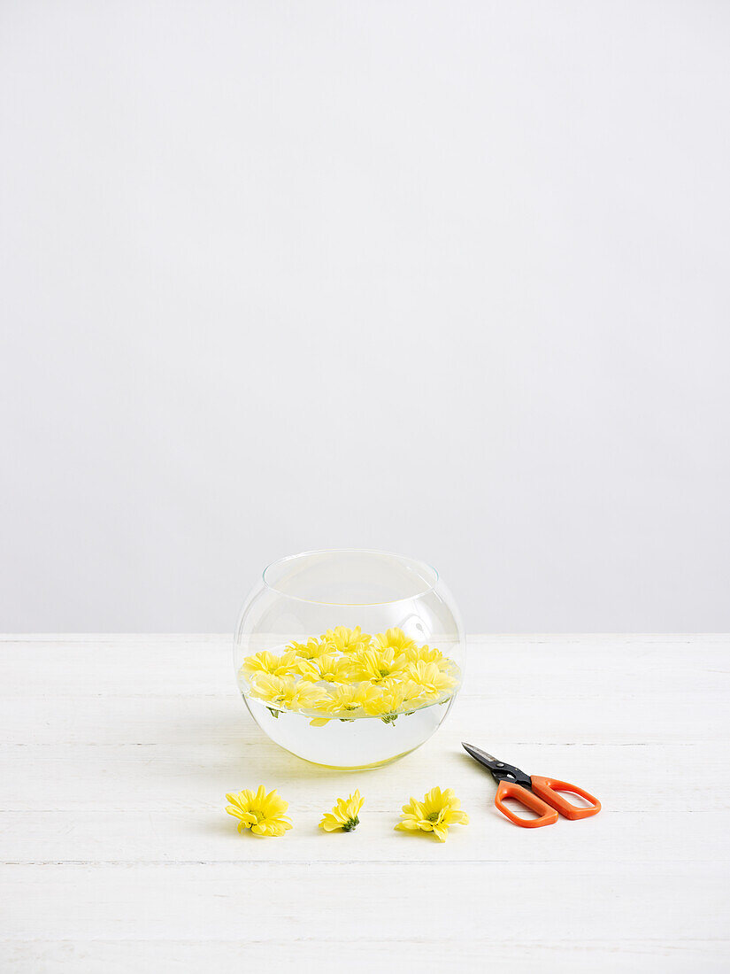 Yellow chrysanthemum flowers floating in fishbowl