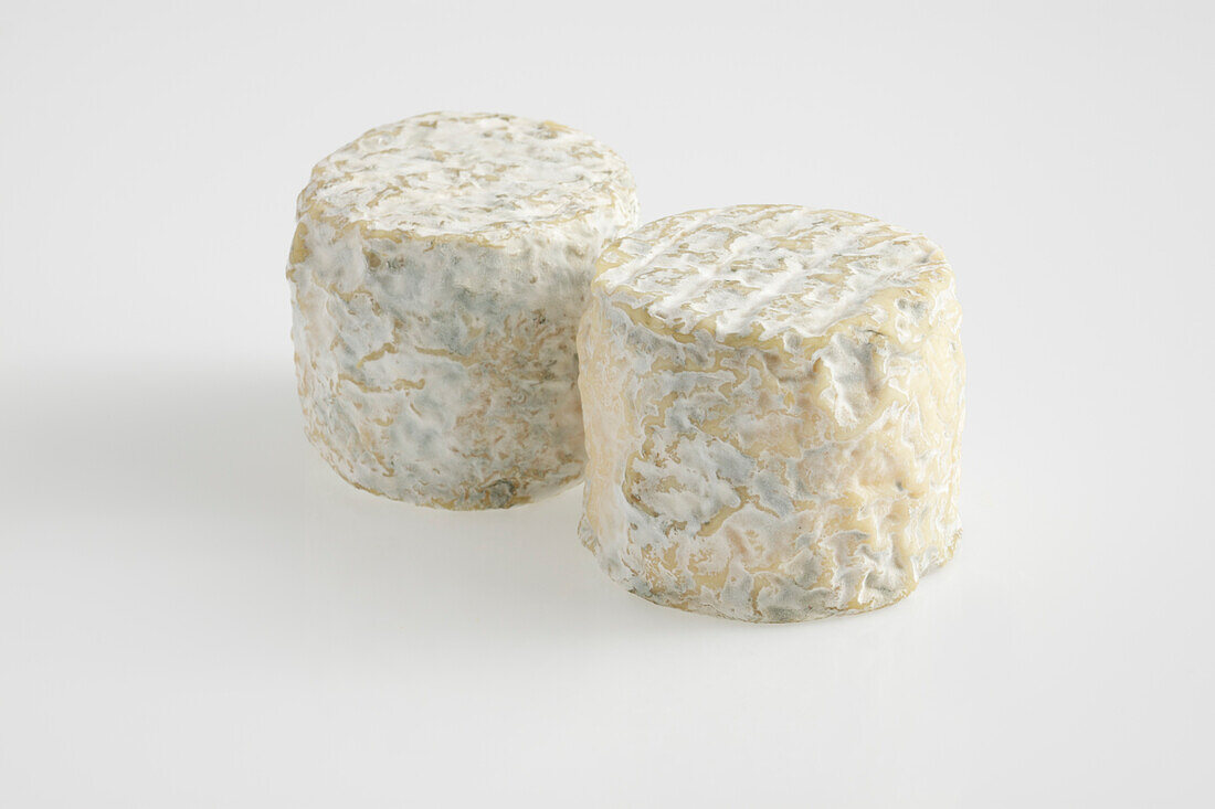 Two whole cylinders of French Racotin goat's cheese