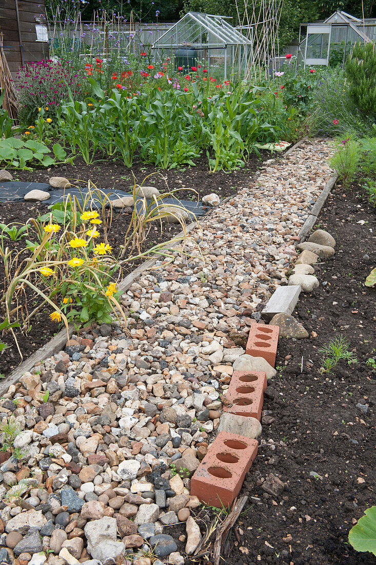 Gravel path through an allotment to greenhouses