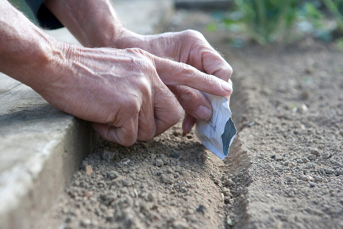 Tapping seeds from a packet into a seed drill