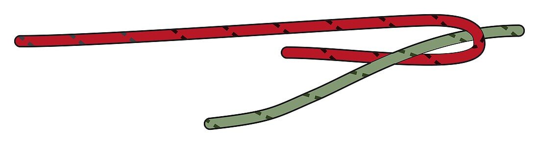 Double sheet bend knot, illustration