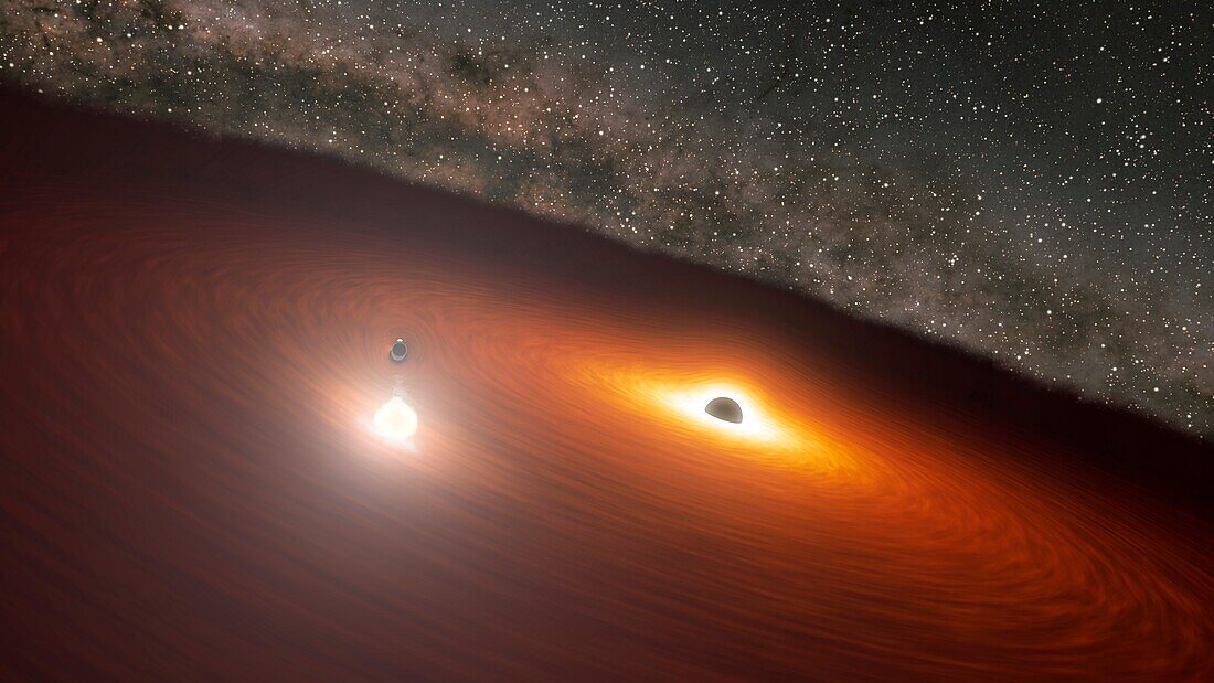 Black hole disk flare, illustration