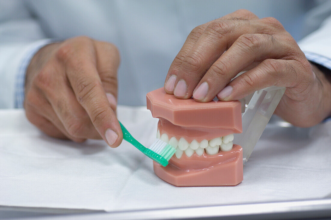 Dentist demonstrating how to wash teeth with toothbrush