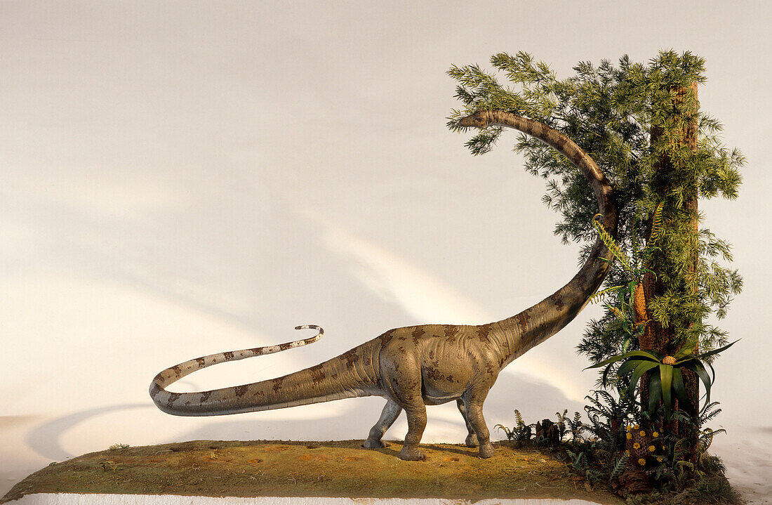Barosaurus standing in the shadow of a tree