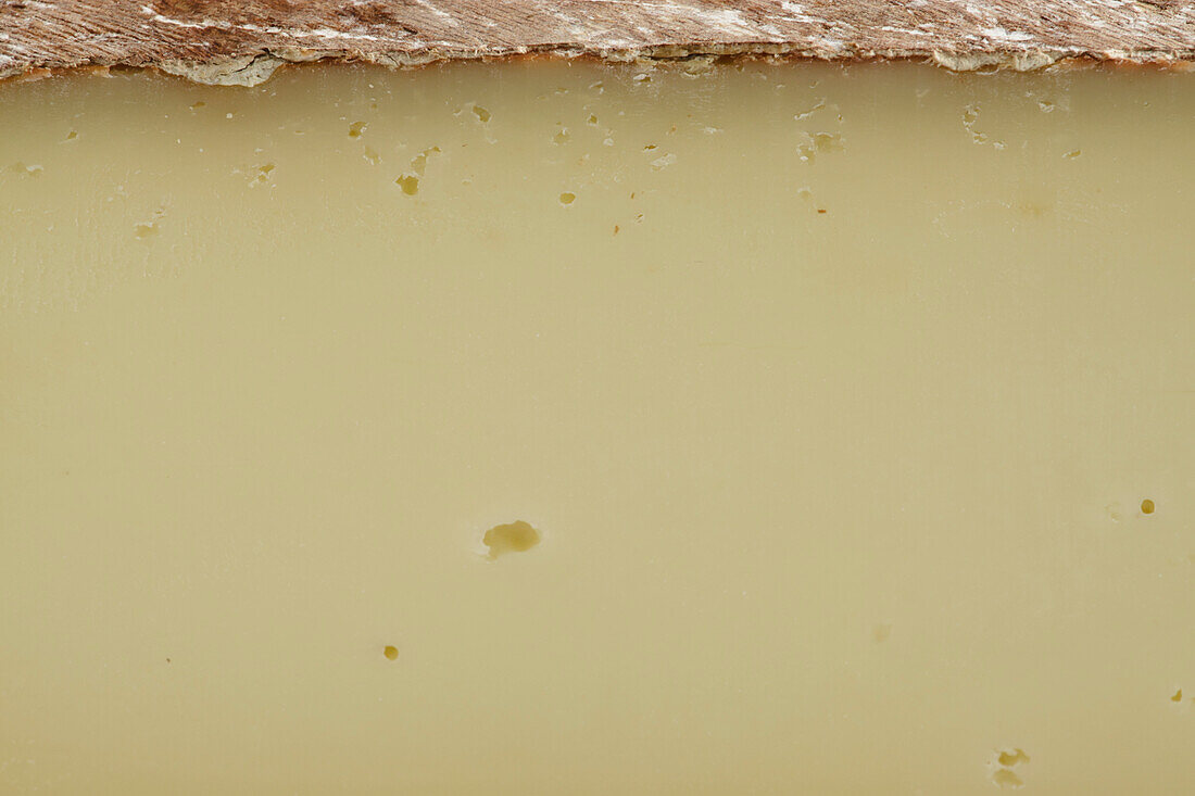 Slice of French Tomme de Brebis du Bearn cheese