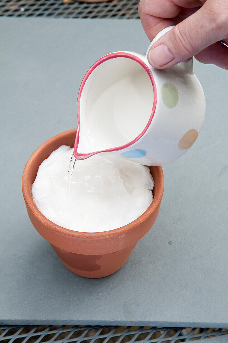 Pouring water on kitchen paper in plant pot from small jug
