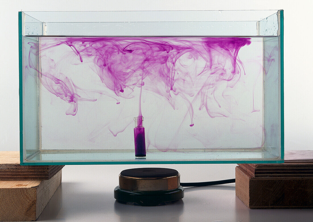 Dye in tank of heated water