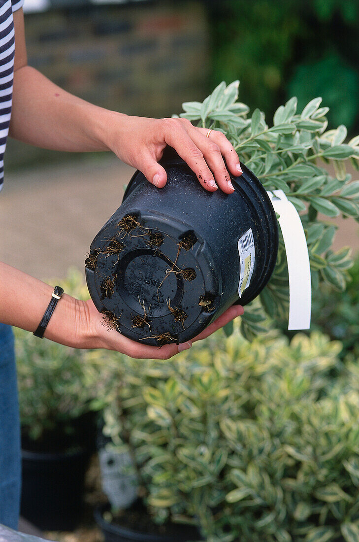 Holding a plant pot showing underside