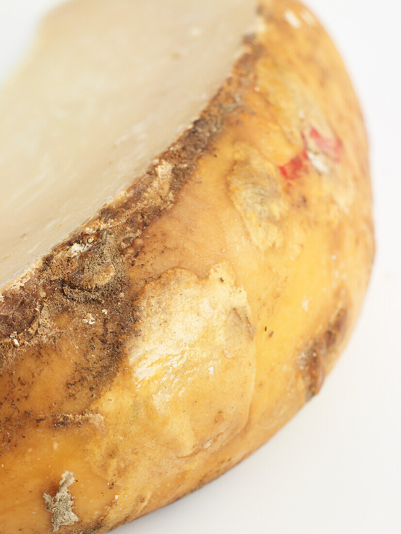 Mould on rind of Italian Provolone Mandarone DOP cheese