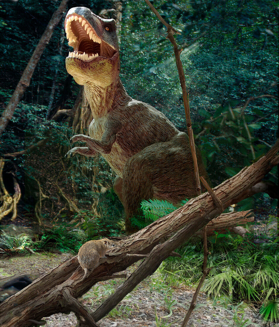 Dinosaur and early mammal, illustration