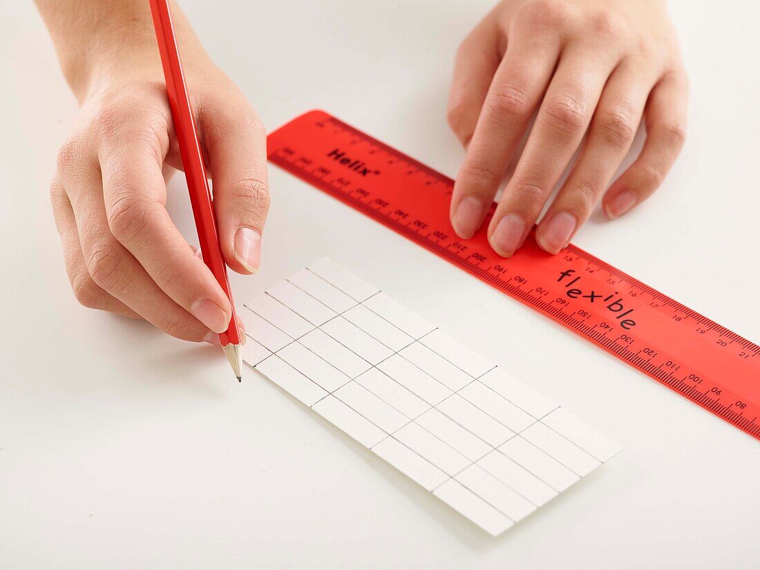 Using pencil and ruler to mark paper into 30 strips