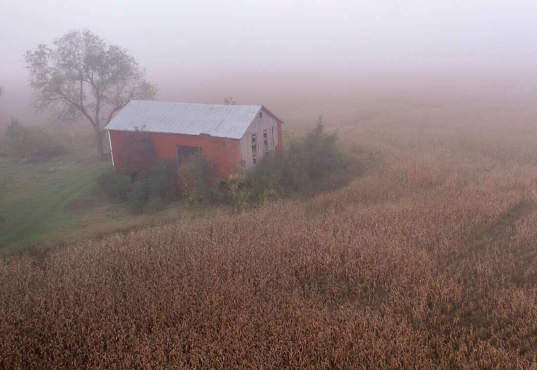 Barn and corn field in foggy weather, Michigan, USA