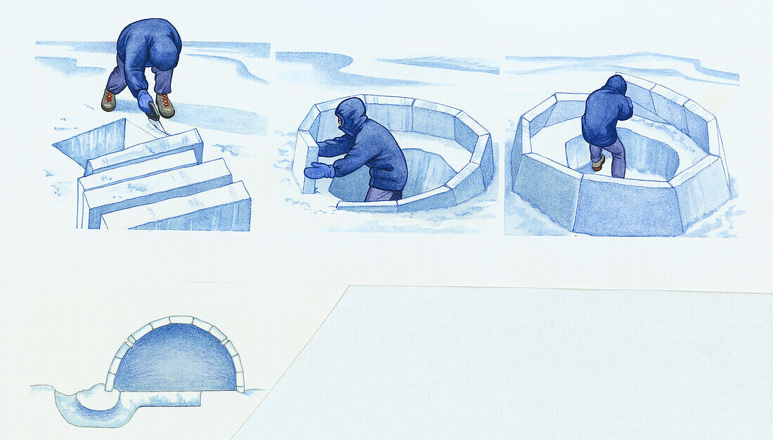 Stages to creating an igloo, illustration