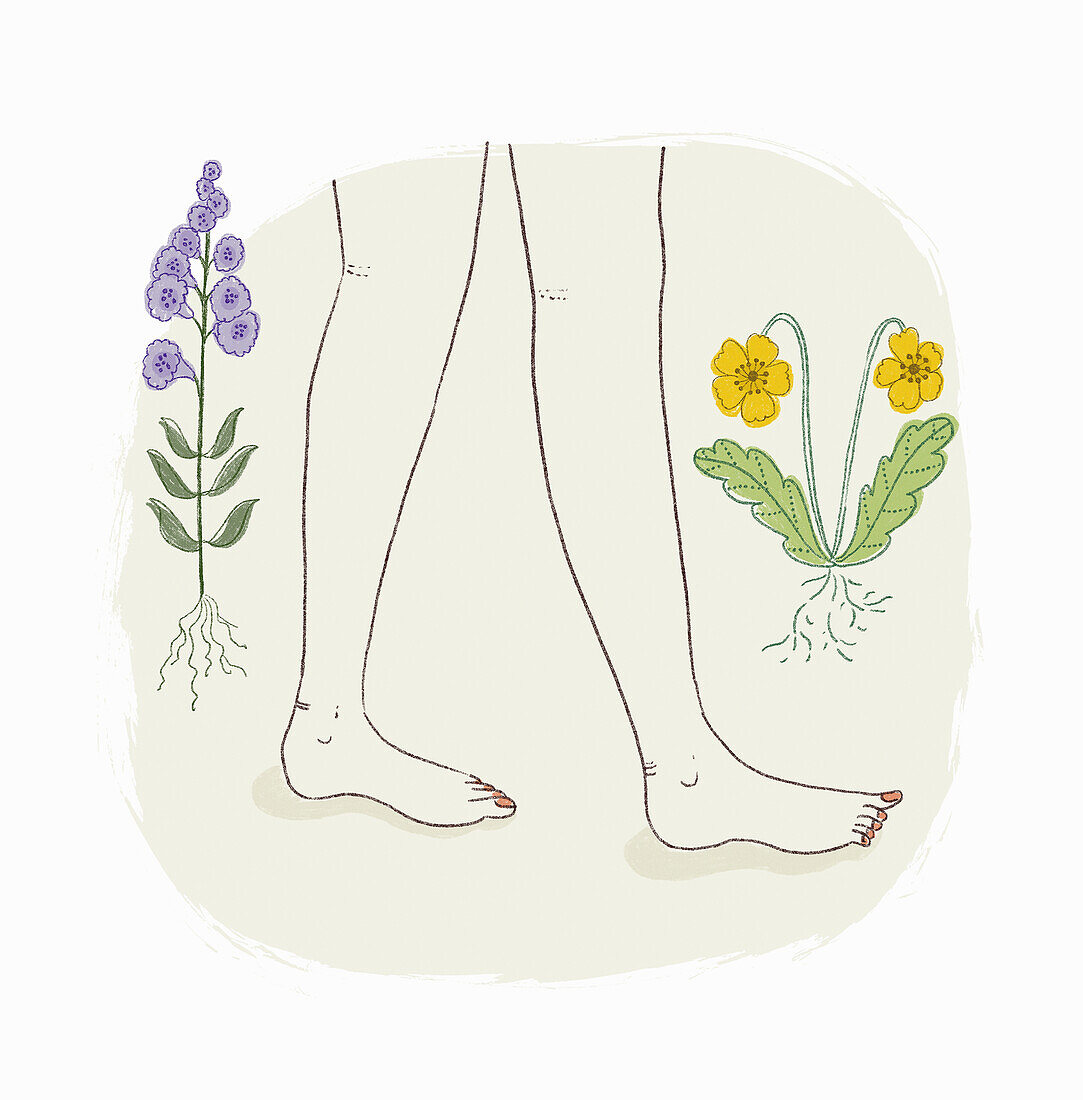 Bare feet walking through wildflowers, illustration