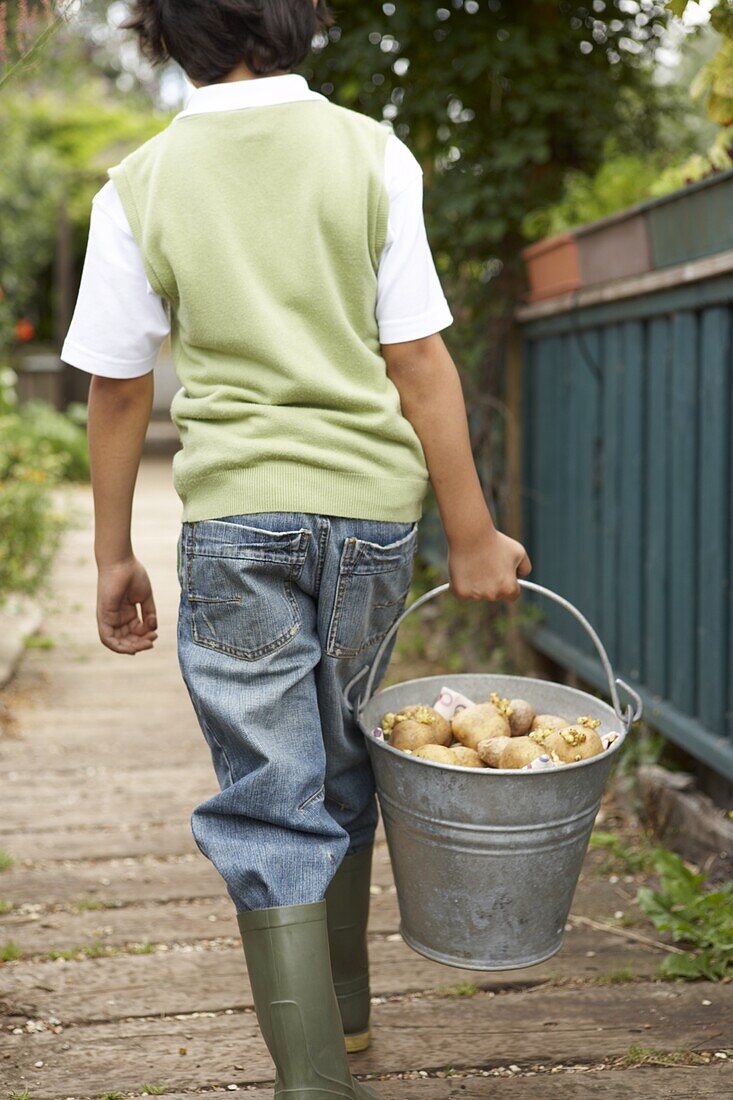 Boy carrying bucket of potatoes