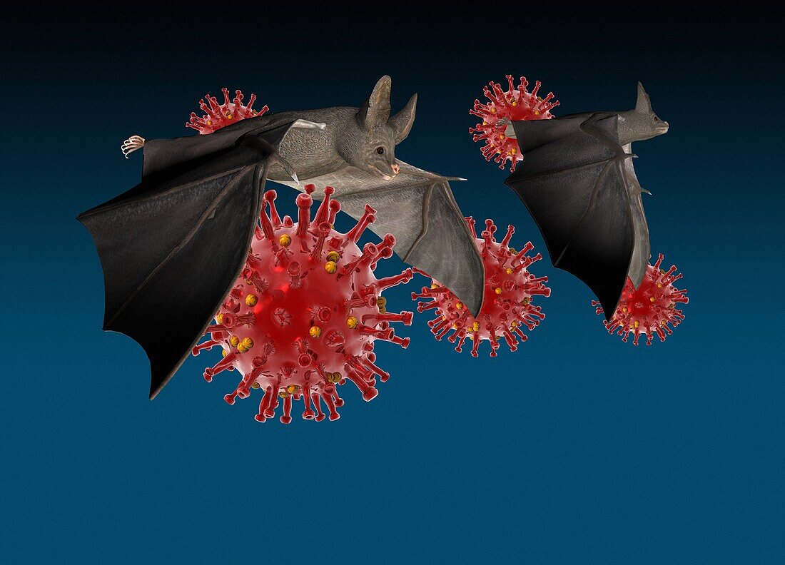 Bats and Covid-19 particles, illustration