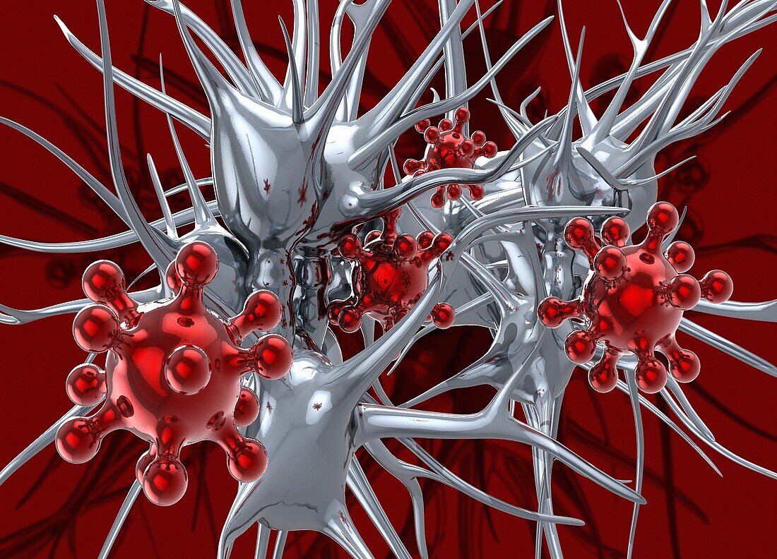 Brain and coronavirus particles, illustration