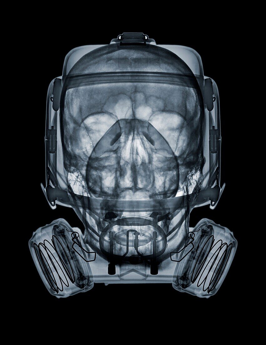 Skull wearing a gasmask, X-ray