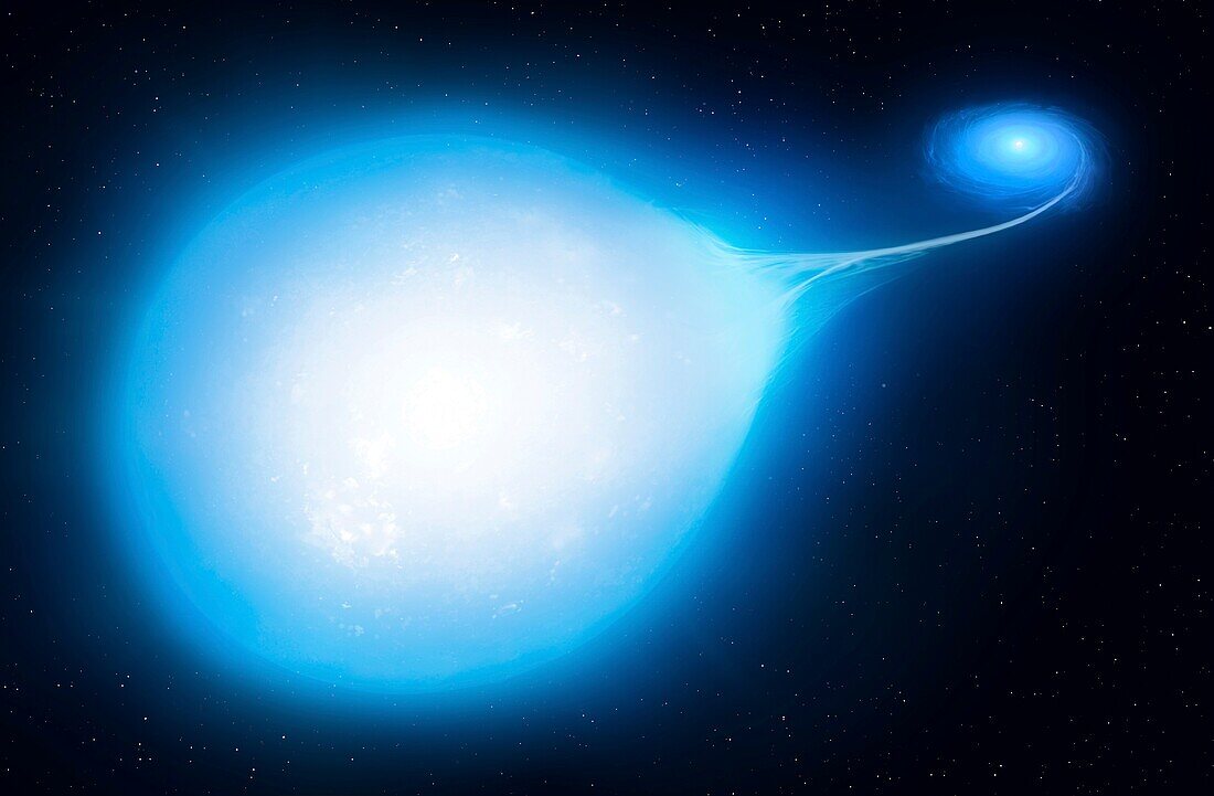 Supernova Progenitor HD265435