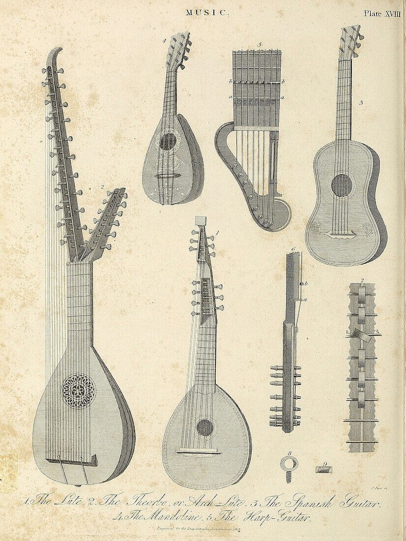 String instruments, 19th century illustration
