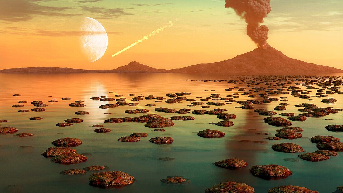 Stromatolites on Early Earth