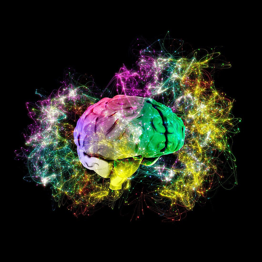Human brain anatomy with energy field, 3D illustration