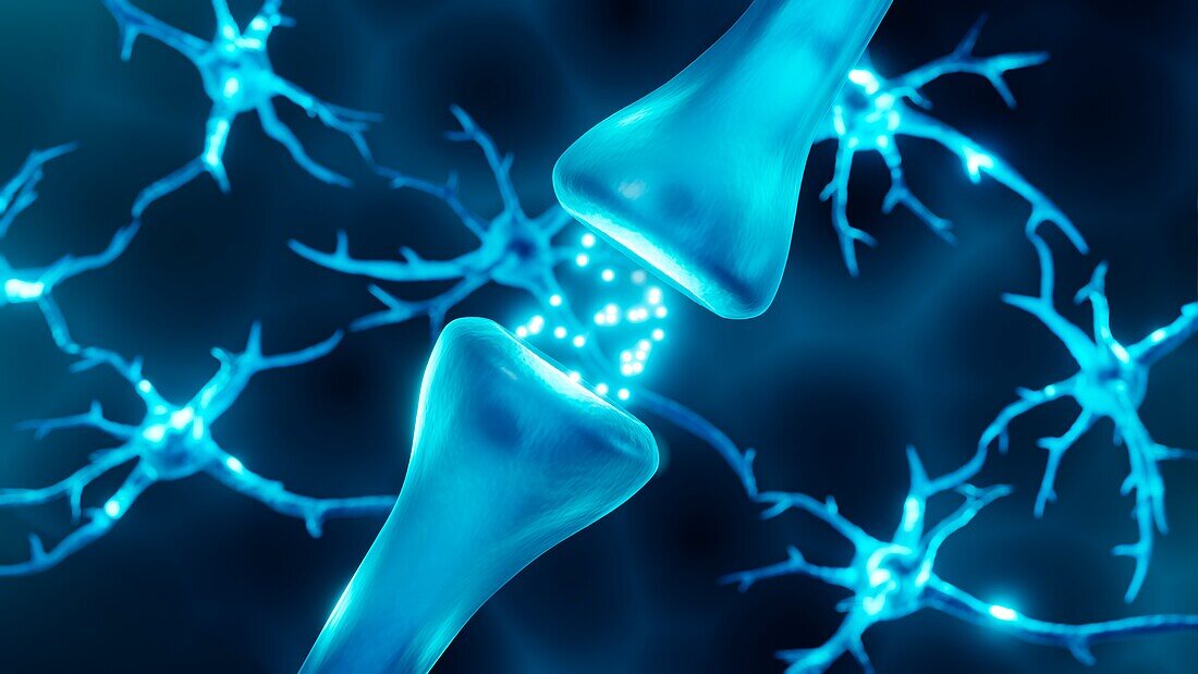 Synapse illustration