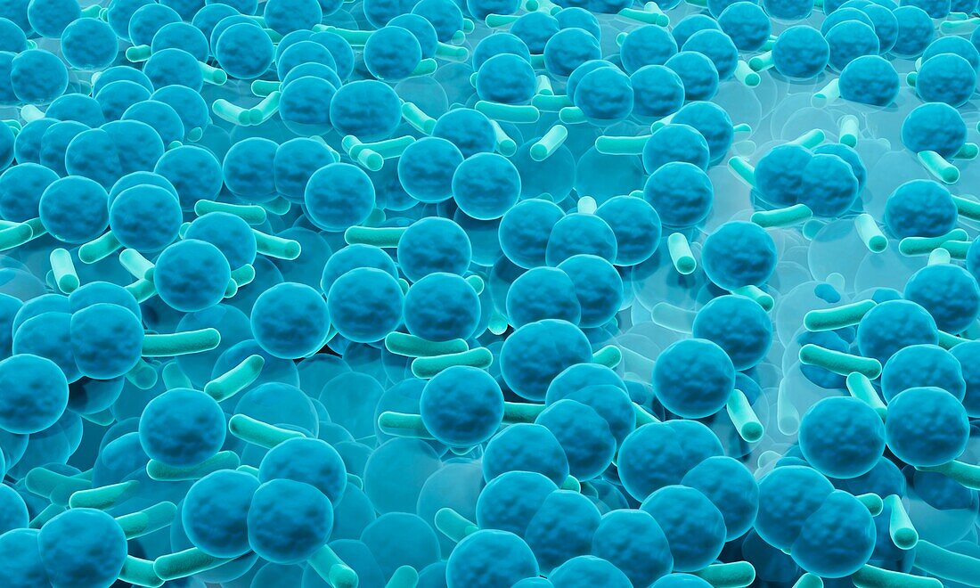 Antibiotic resistant bacteria, illustration
