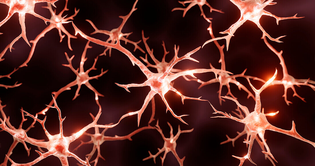 Neurons, illustration