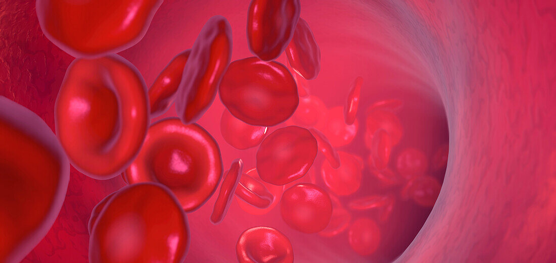 Red blood cells, illustration