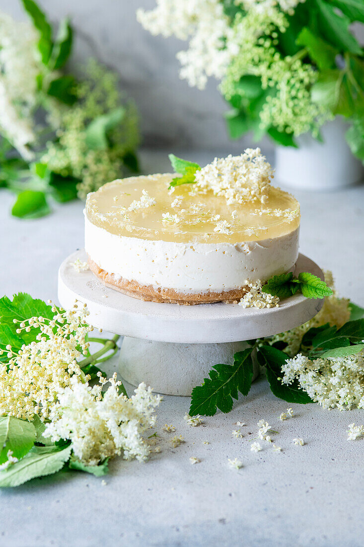 Käsekuchen mit Holunderblüten-Gelee