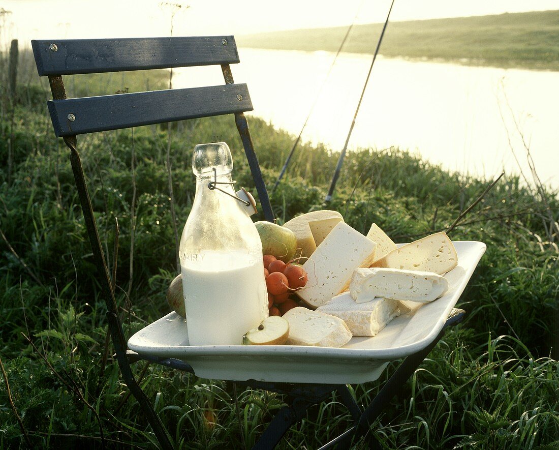 Various raw milk cheeses and milk bottle on chair in meadow