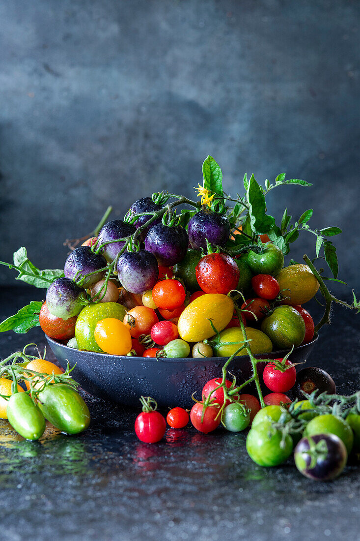 Various fresh tomatoes