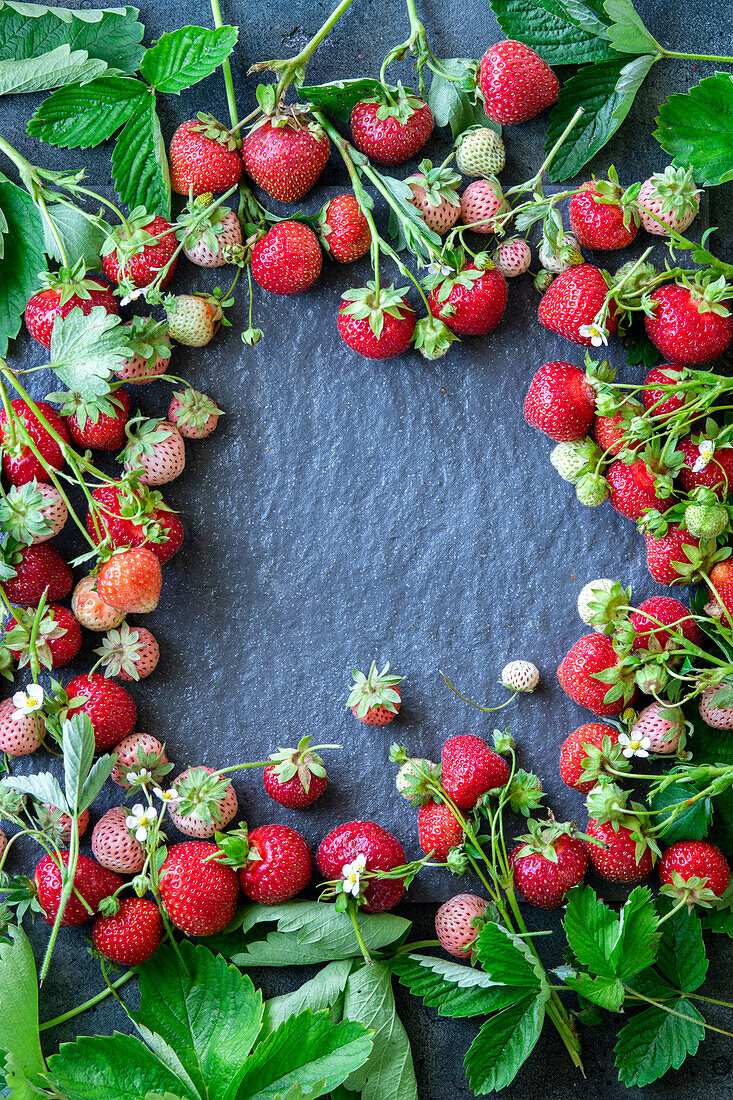 Frische Erdbeeren um den Bildrand gelegt