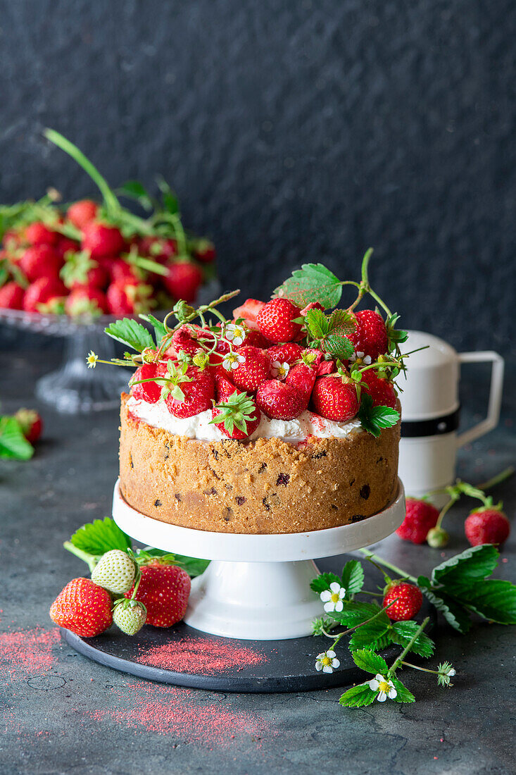 Erdbeer-Käsekuchen mit gefriergetrockneten Erdbeeren