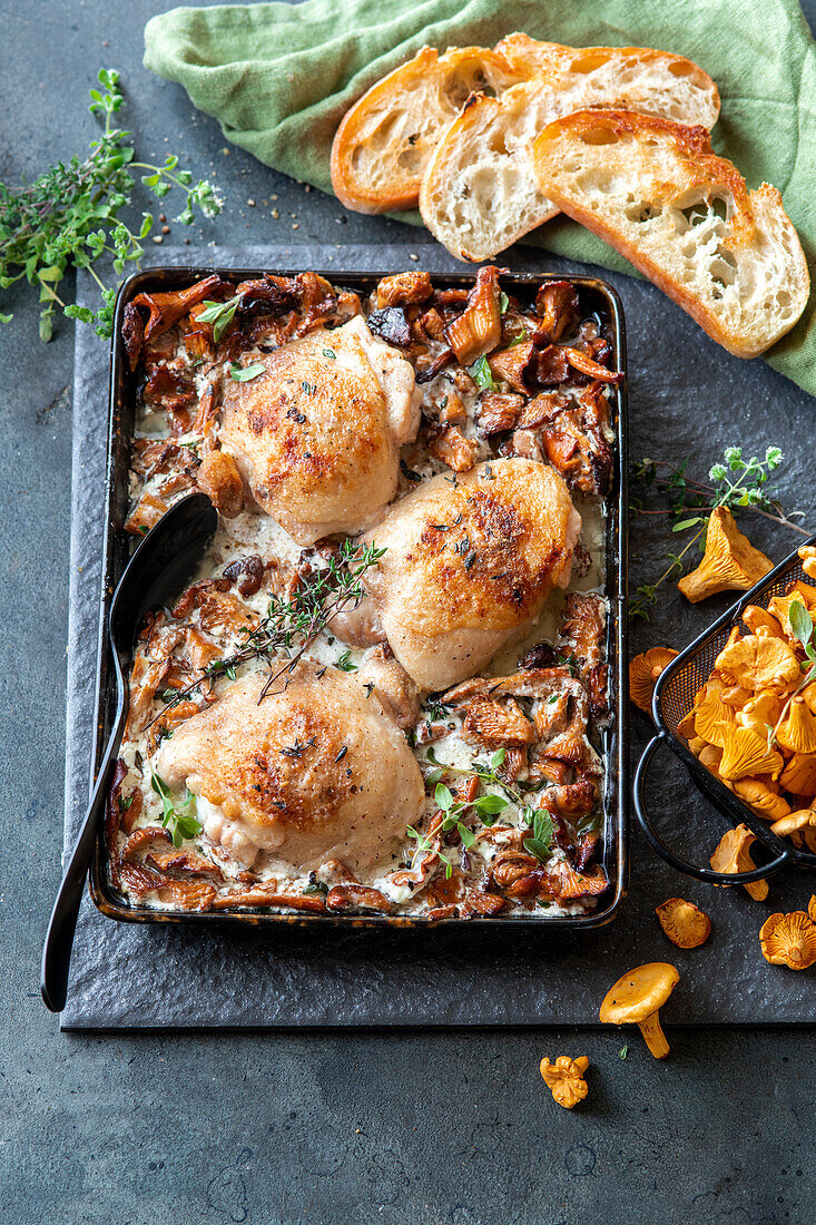 Chicken in creamy chanterelle sauce