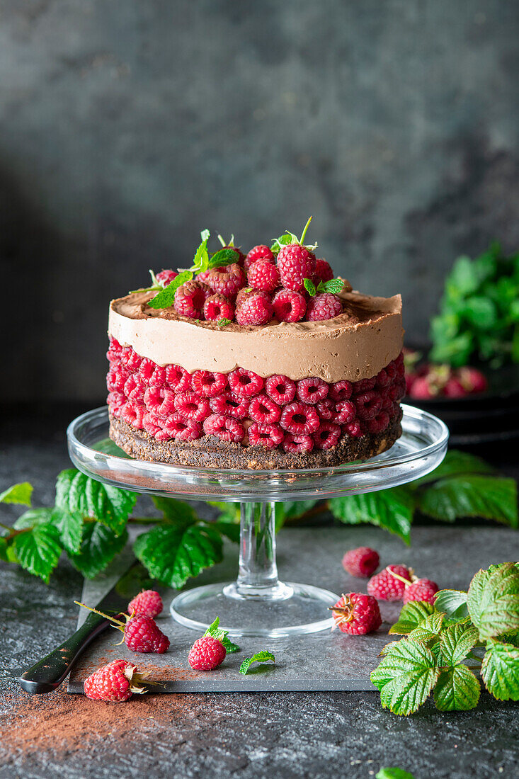 Raspberry chocolate mousse cake