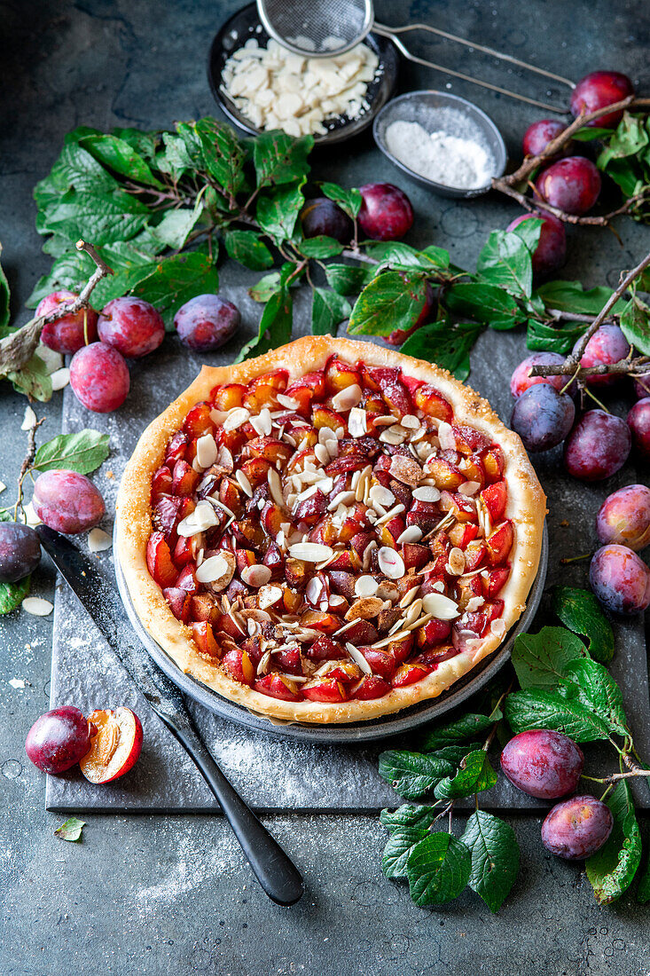 Plum pie made with yeast dough