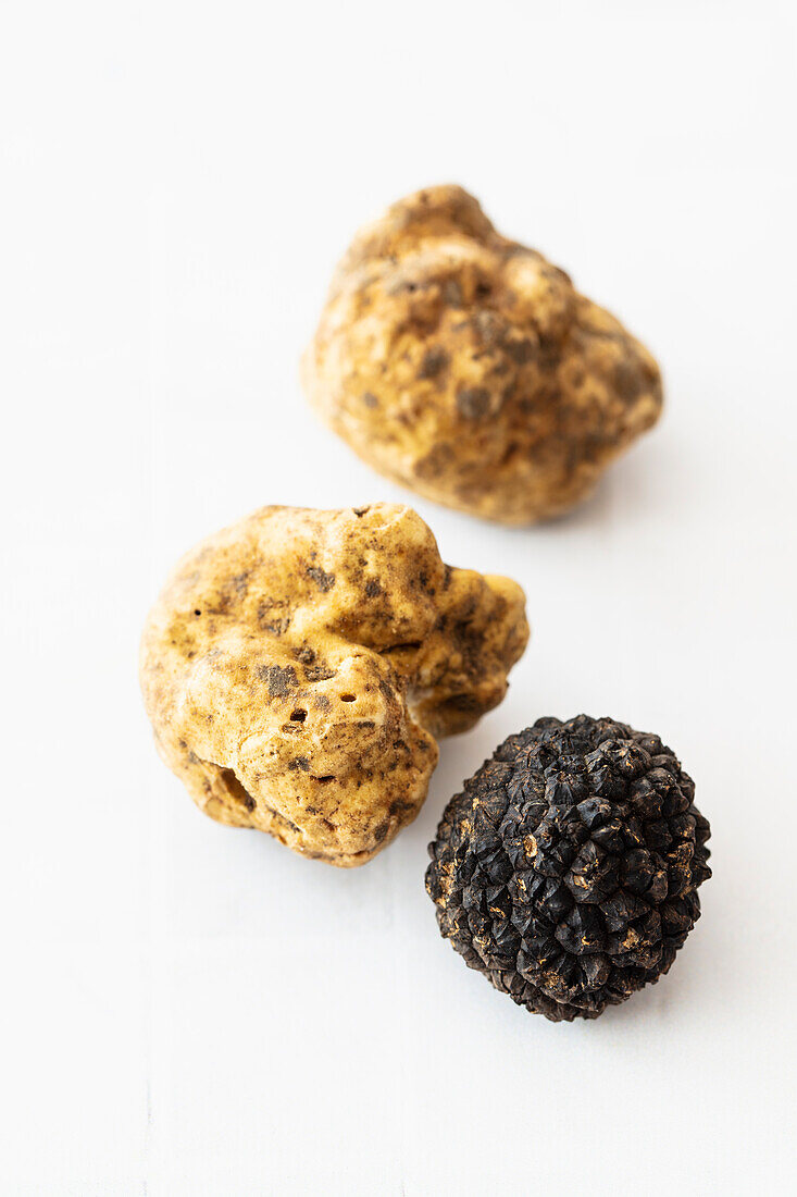 Two different types of truffle (white and black)