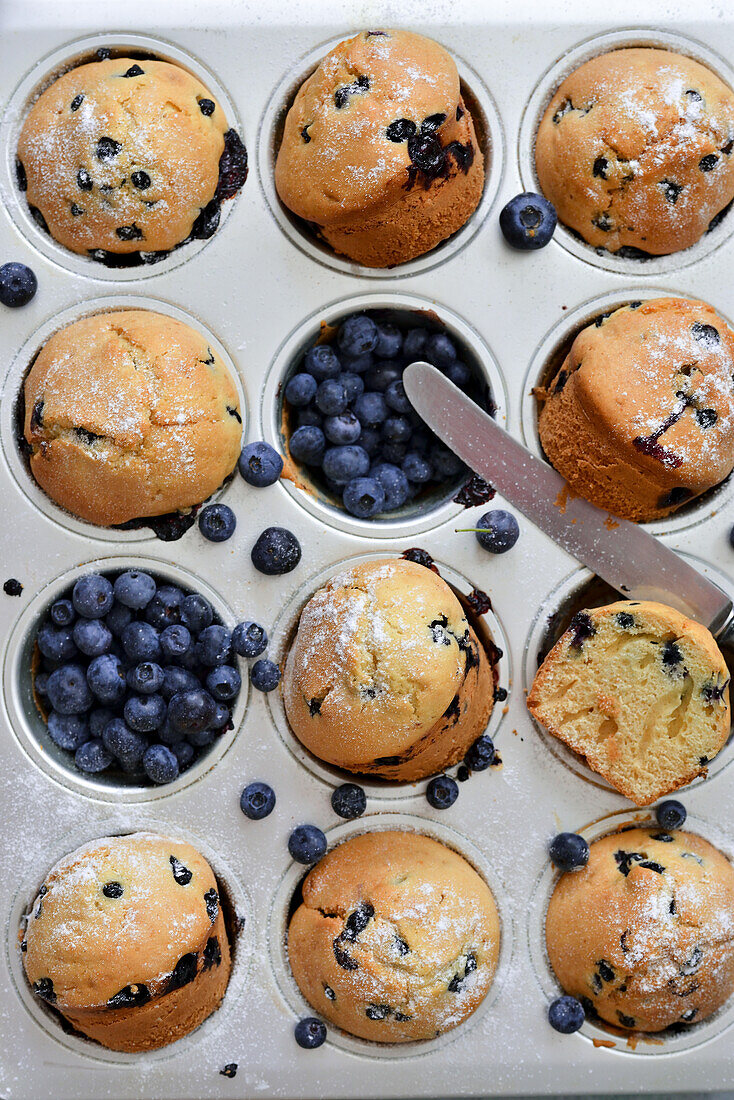 Blueberry muffins in a baking tray