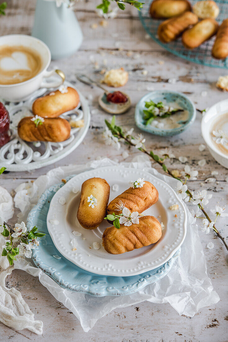 Madeleine biscuits on a spring table