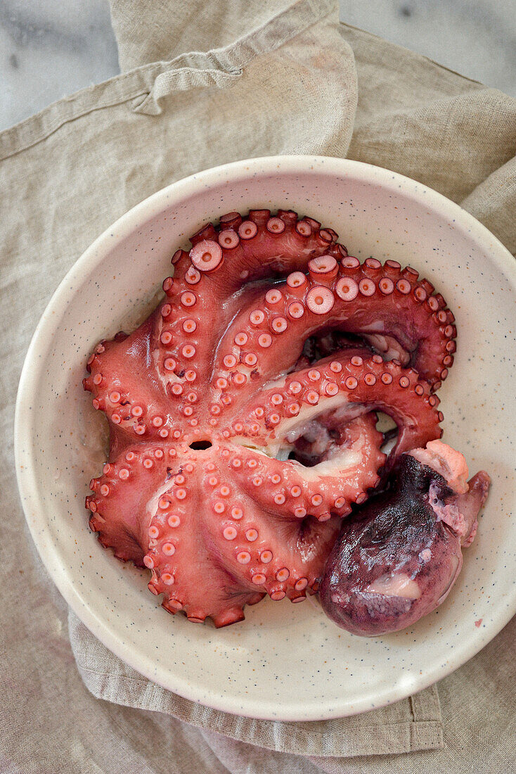 Octopus and sepia cooked on a plate