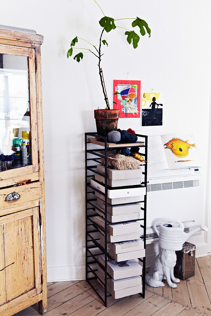 Narrow shelf, decorative elements and plant in a bright room