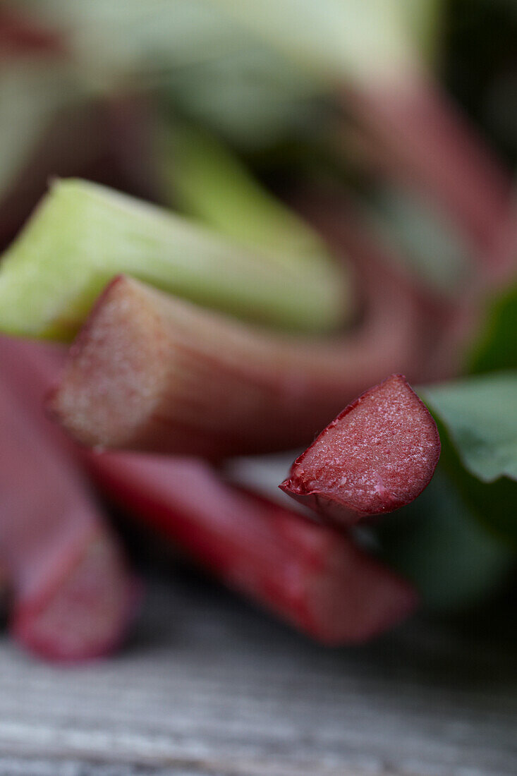 Freshly harvested rhubarb