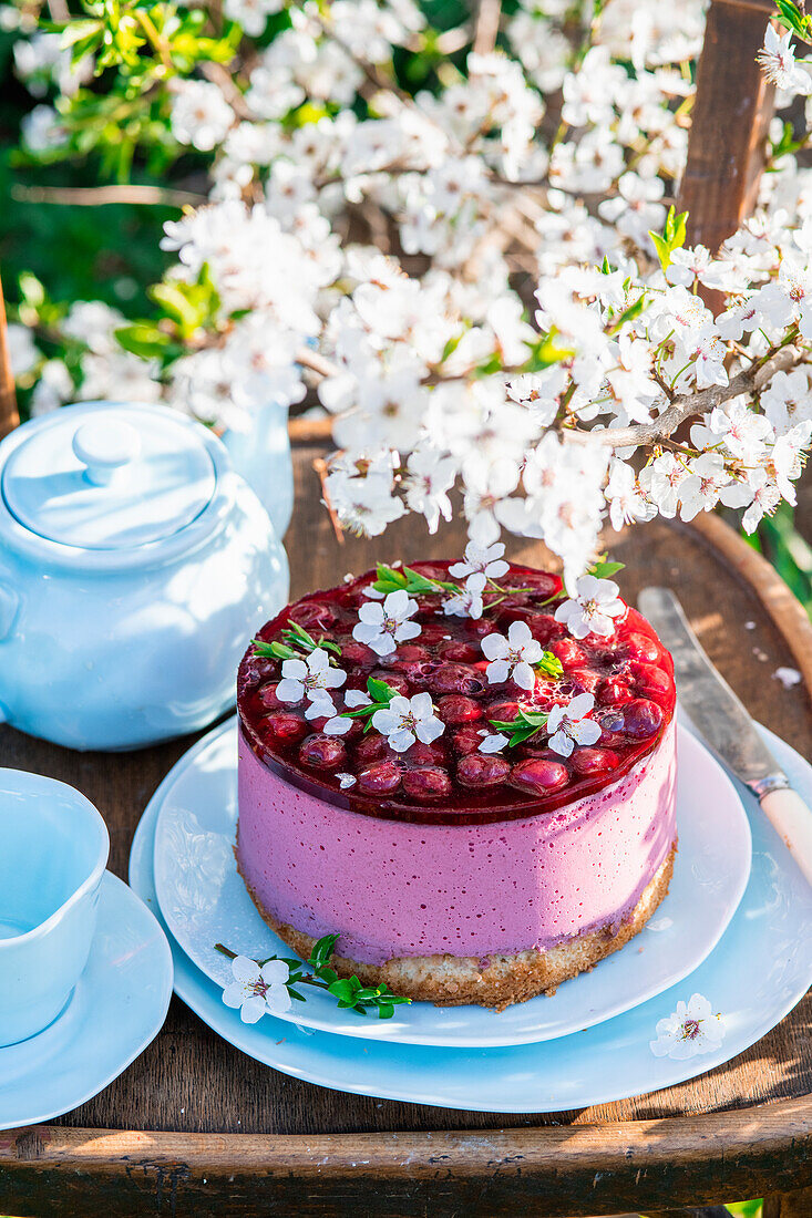 No bake cherry jelly cake in a blooming garden
