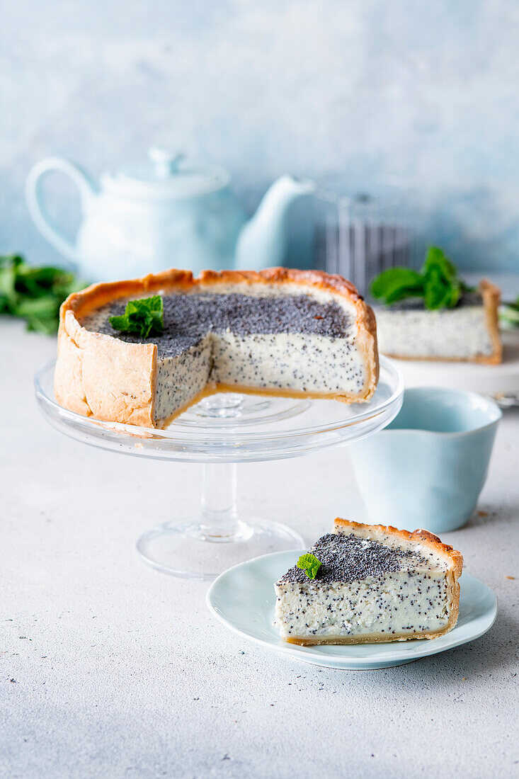 Poppy seed cottage cheese cake