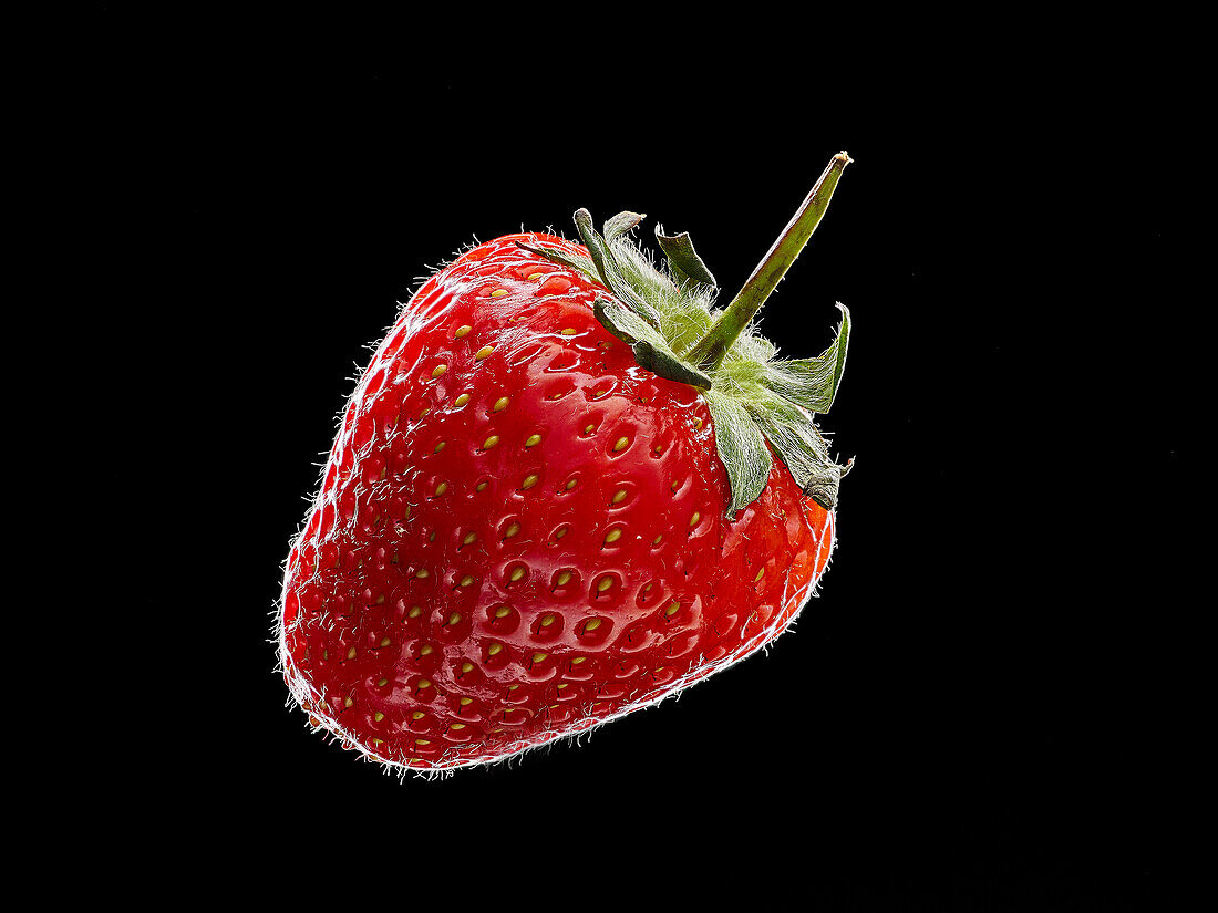 Eine Erdbeere vor schwarzem Hintergrund