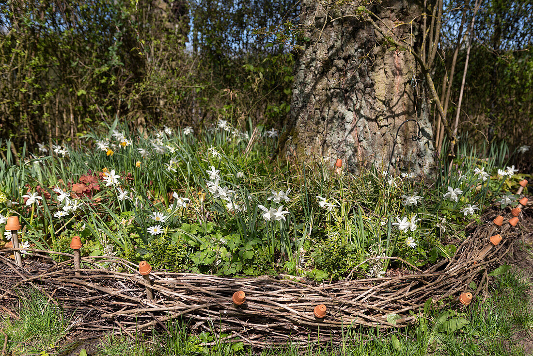 Spring flowering plants in a bed with a wreath-shaped border and miniature plant pots