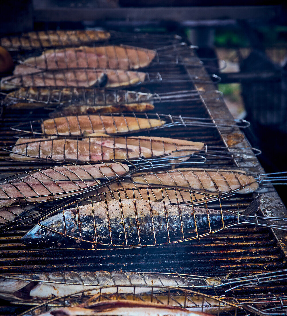 Mackerel on the grill