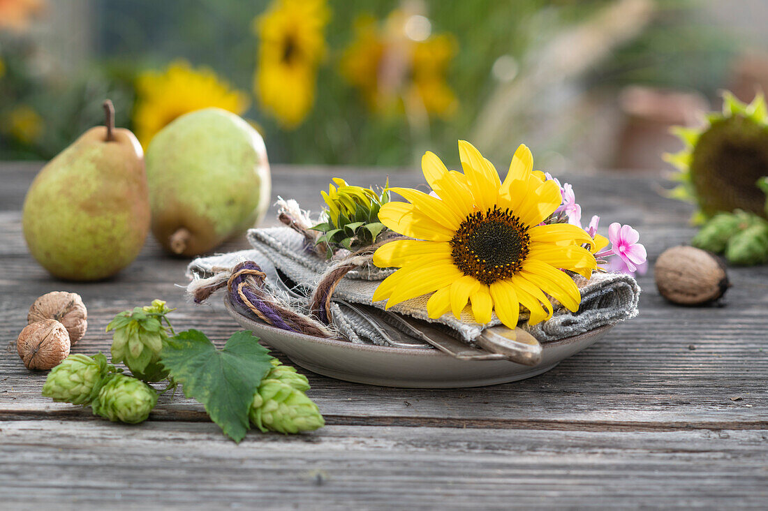 Blütenköpfe von Sonnenblumen und Phlox als Serviettendekoration, Birnen, Hopfendolden und Walnüsse auf dem Tisch